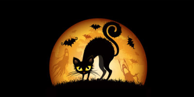 couverture-twitter-halloween-chat