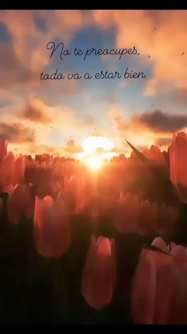 No te preocupes, todo va a estar bien! -…