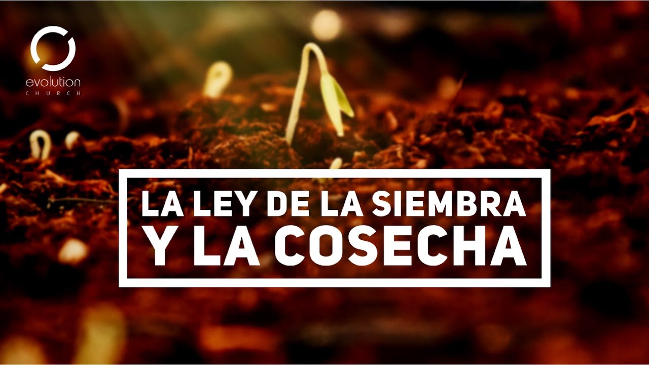 La ley de la siembra y la cosecha – Noel Solis