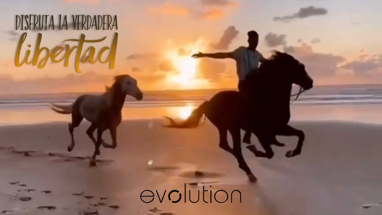 La verdadera libertad – Noel Solis