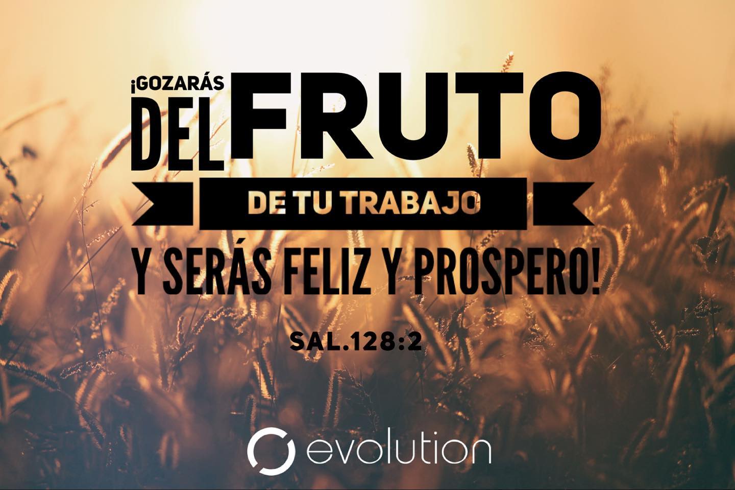 Que Dios bendiga y prospere tu trabajo y…