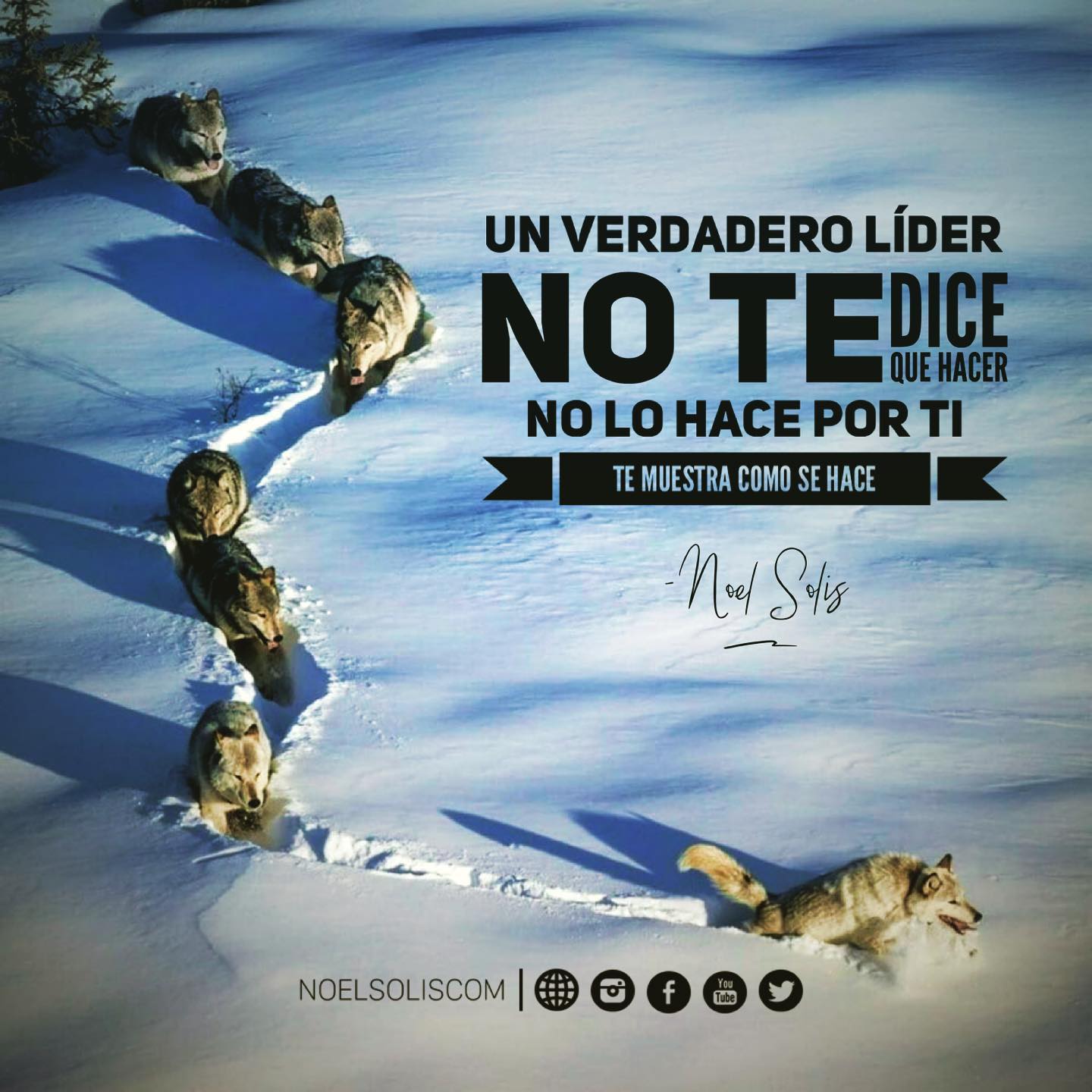 Un verdadero líder no solo te da informa…