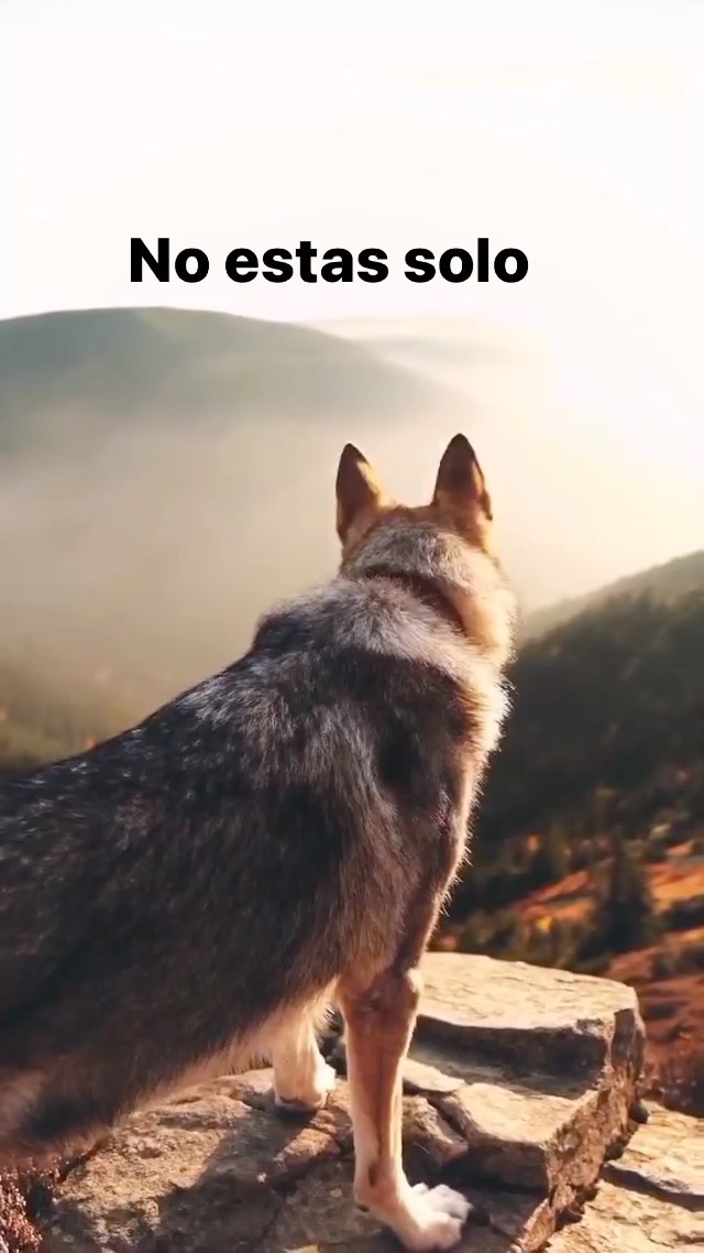 No estas solo amigo!…