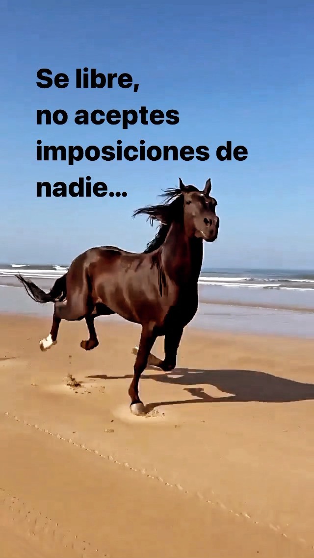 Nunca dejes de Soñar!
.
.
….
