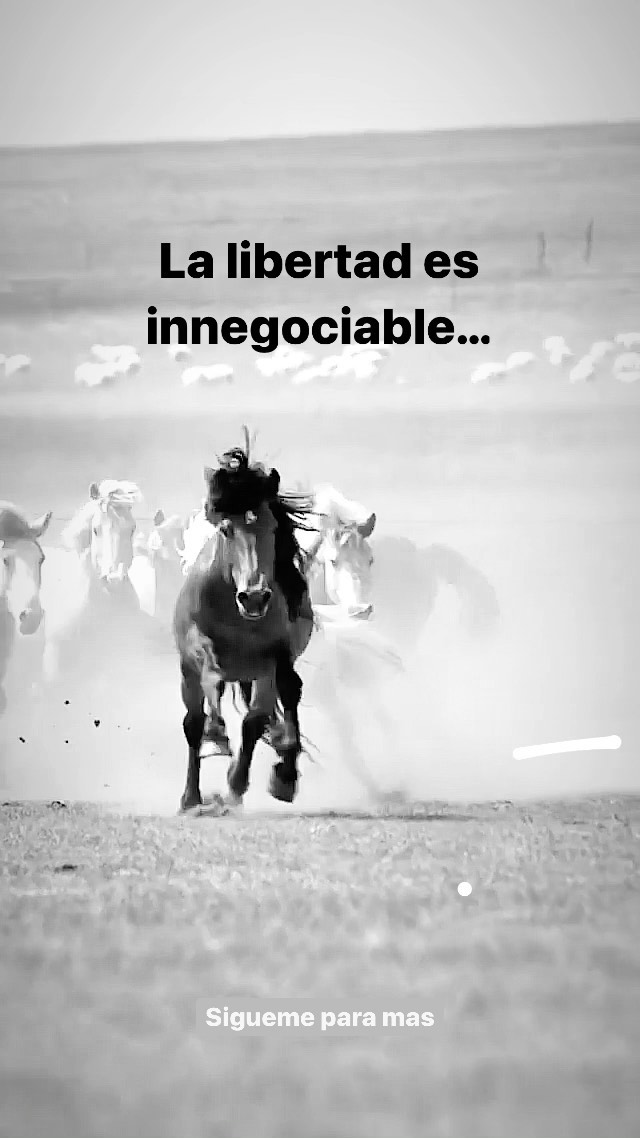 La Libertad es innegociable!- Noël Solís…