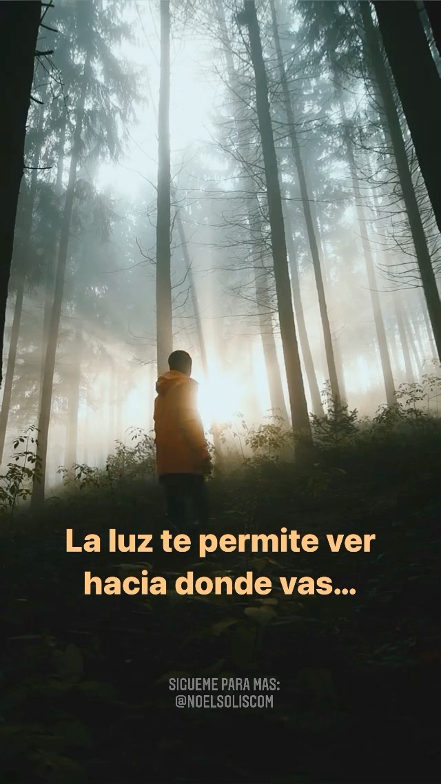 Busca la luz en tu vida!
.
.
….