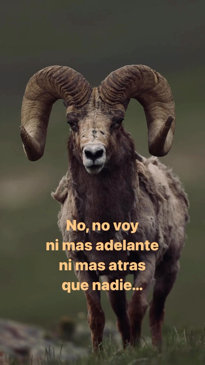 No compitas con nadie, solo contigo mism…