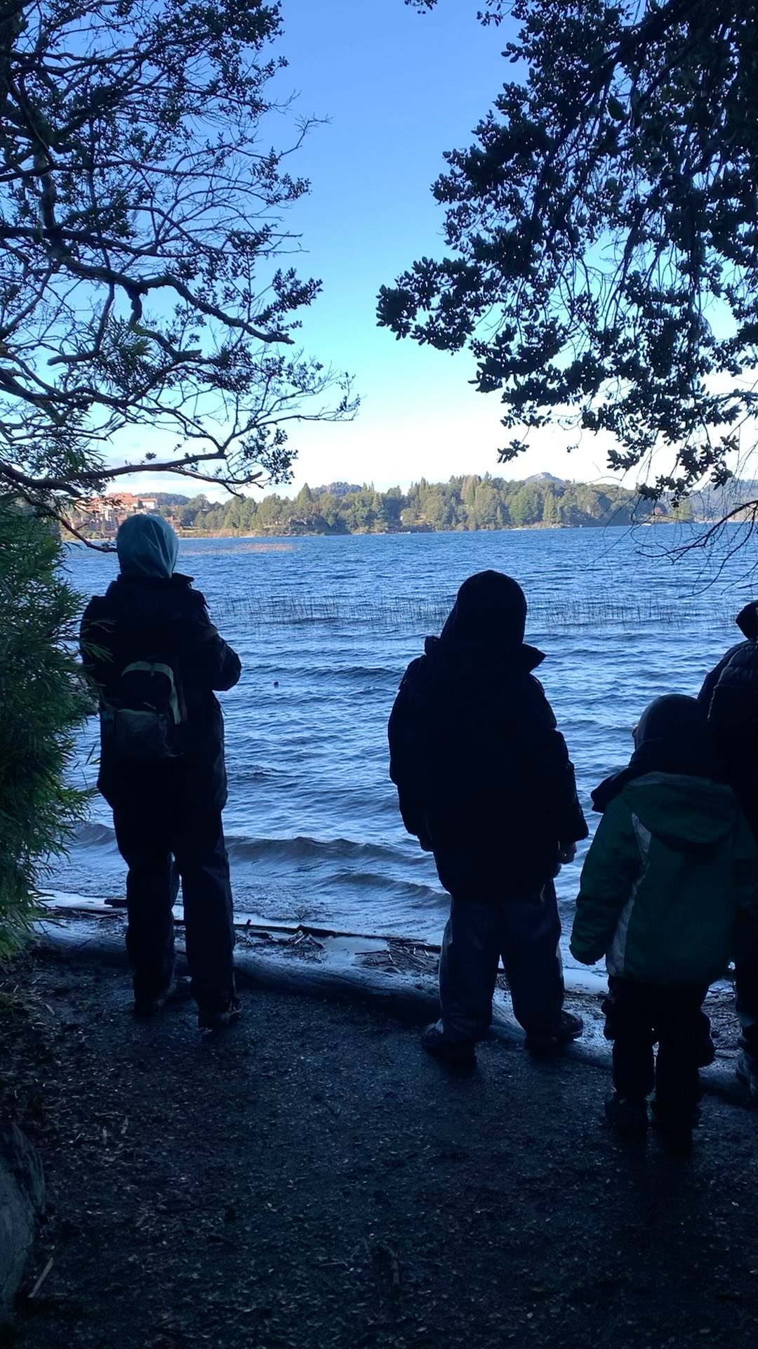 Caminata en Bosque llao llao, Bariloche. Argentina